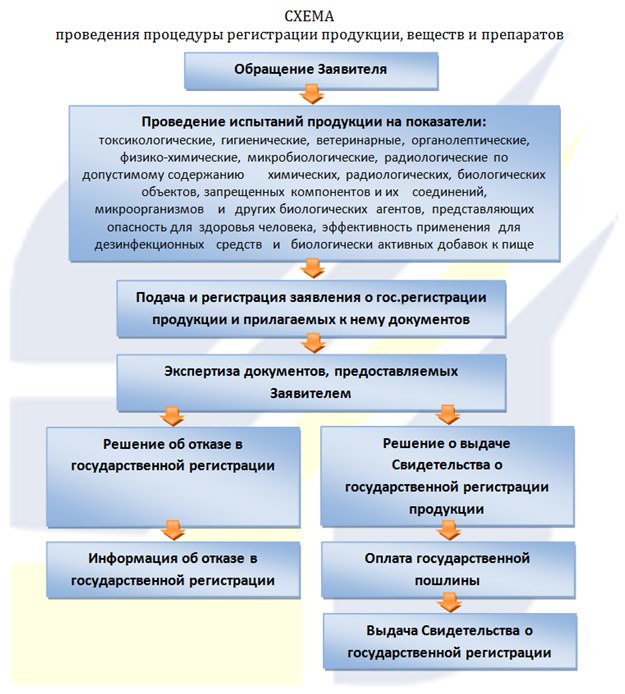 схема государственной регистрации продукции